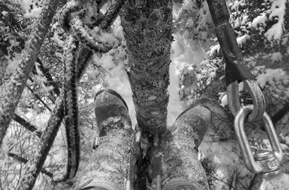 Rueldesbois_emondage_elagage_victoriaville2