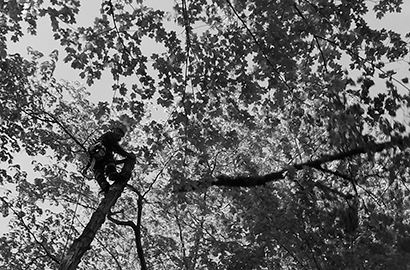 Service_forestier_rueldesbois_emondeur1